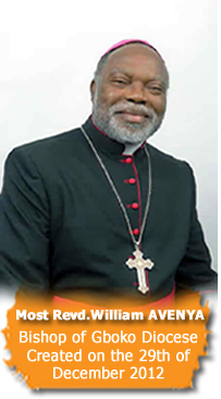 Bishop Gboko